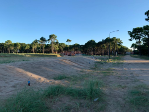 Lee más sobre el artículo Pinamar